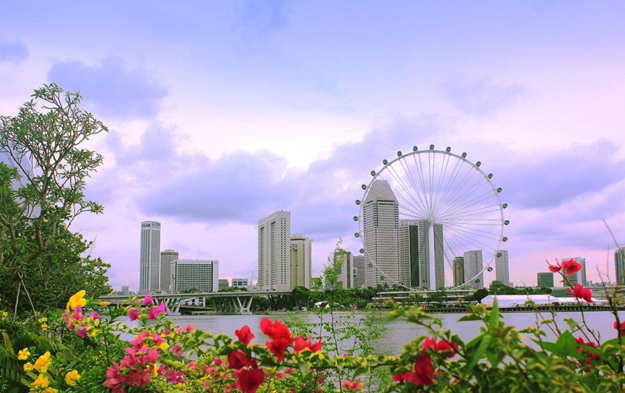 新加坡公司哪些情况需要进行报税?