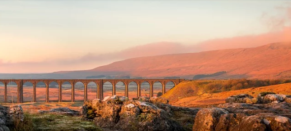 新注册的英国公司，在报税方面需要注意什么？