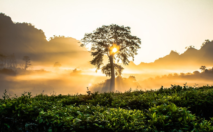 企业在越南注册公司,在报税方面需要注意什么?